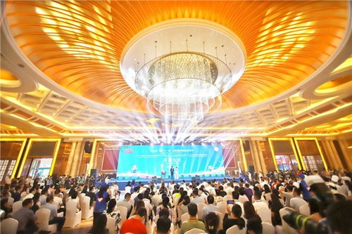 2020海南欢乐节举行三大展会,亮点十足,市民游客热闹逛展